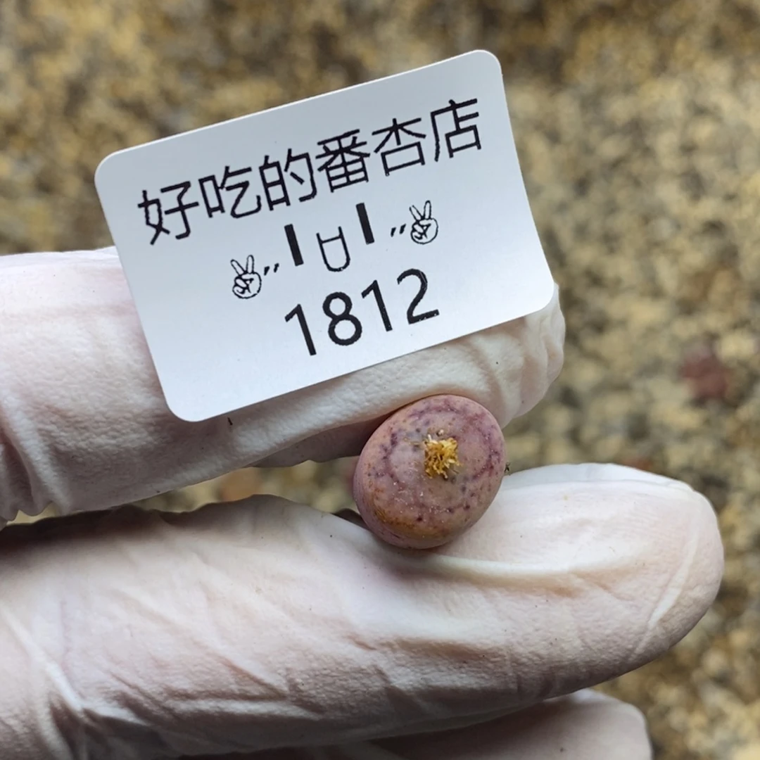 ?****1812。零下拍保温.18包邮.当天凑哦