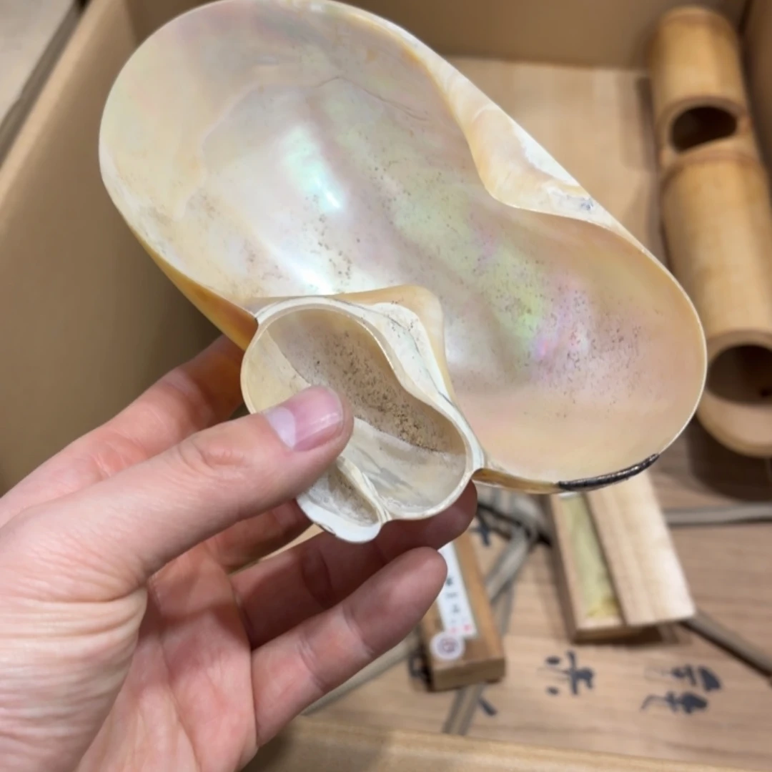 学***酷其他贝壳般若中古美术工艺品