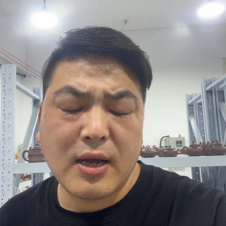 ┻***┻紫砂茶壶5858888888899