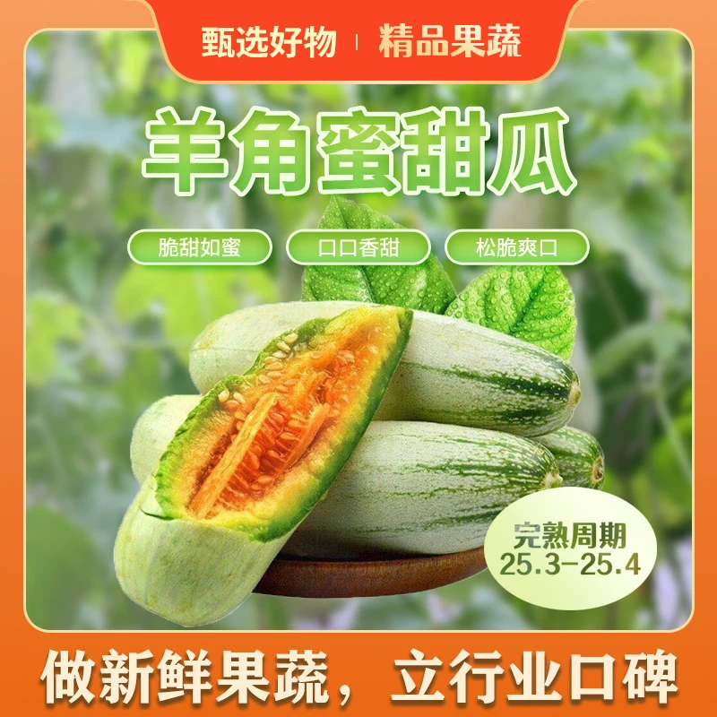 山东羊角蜜甜瓜新鲜水果脆甜蜜瓜香瓜时令羊角脆寿光果蔬