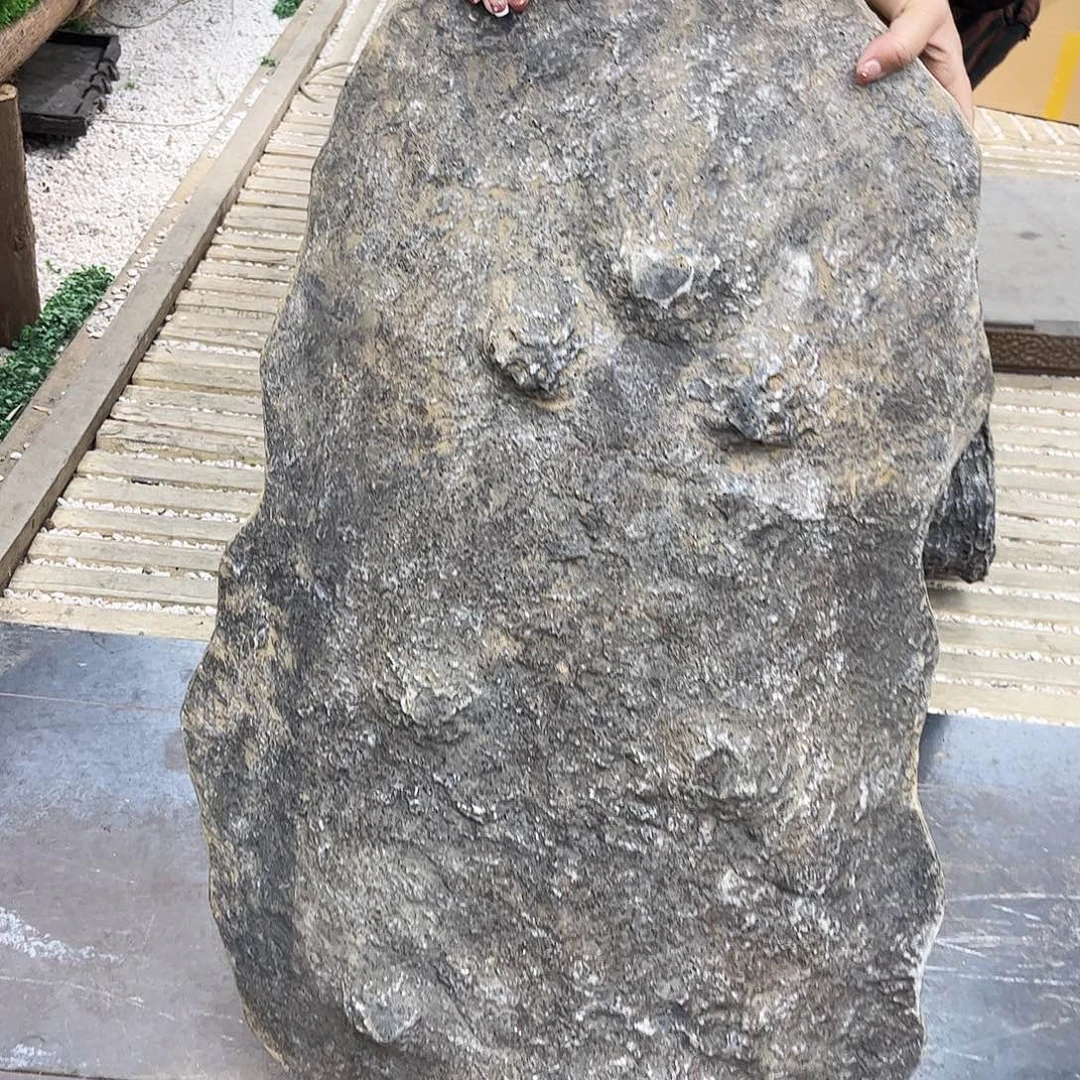 盆景盆异形盆花盆w100