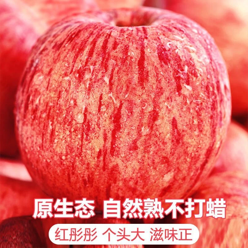 【应季新果】红富士苹果新鲜水果精选大果冰糖心苹果现摘产地直发