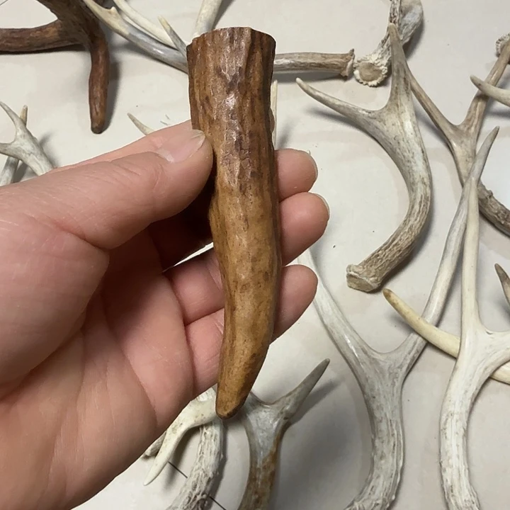 香榧木鹿角工艺品原料