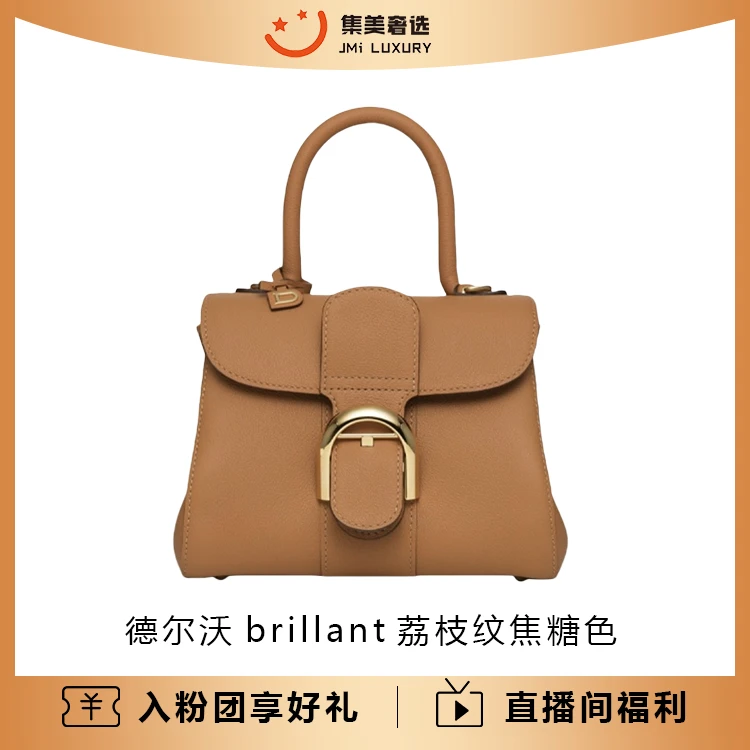99新 Delvaux/德尔沃  brillant荔枝纹棕色手提包/无镜子/AM2805