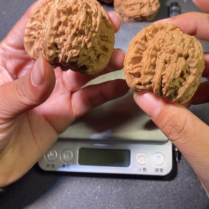 渔***じ白狮子喜欢拍11111个人