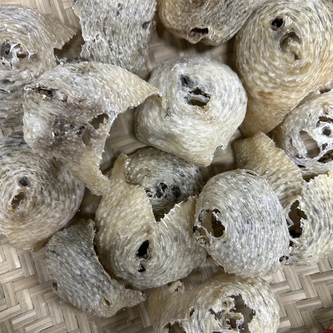 【海帆甄选】渔民自晒25头刺龟皮煲猪蹄汤鸡汤营养多种烹饪