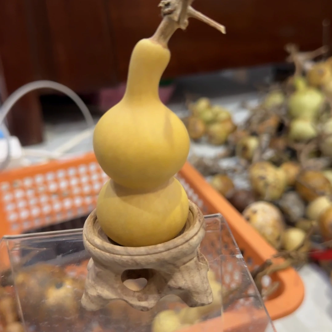 葫芦v干活哈哈古古怪怪嚯哈哈哈哈哈