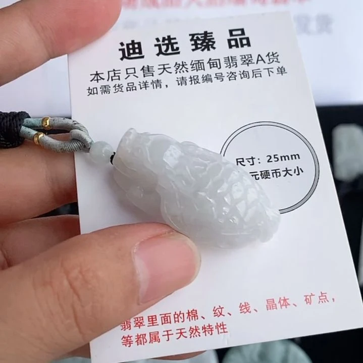 颈饰未镶嵌翡翠龙龟