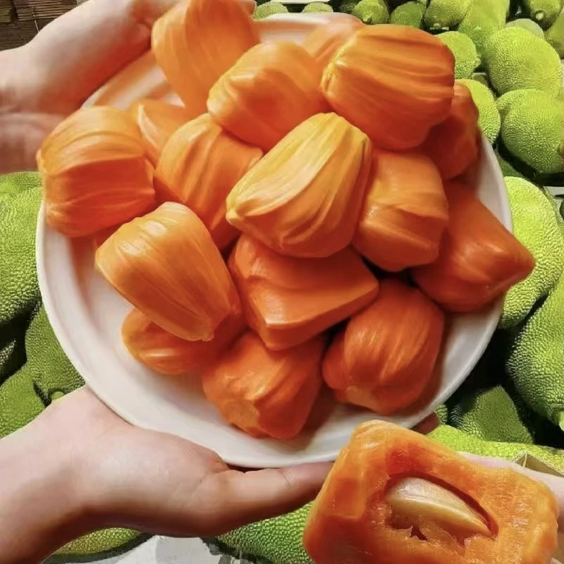 【14-16斤】 印尼红肉菠萝蜜现剥现吃新鲜美味单颗14-16斤左右