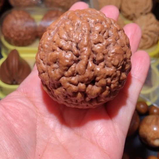 文玩核桃把件单只金刚菩提