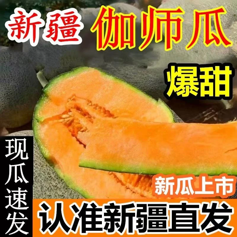 【顺丰京东发货】正宗新疆头茬伽师瓜哈密瓜之王到手净重10-12斤