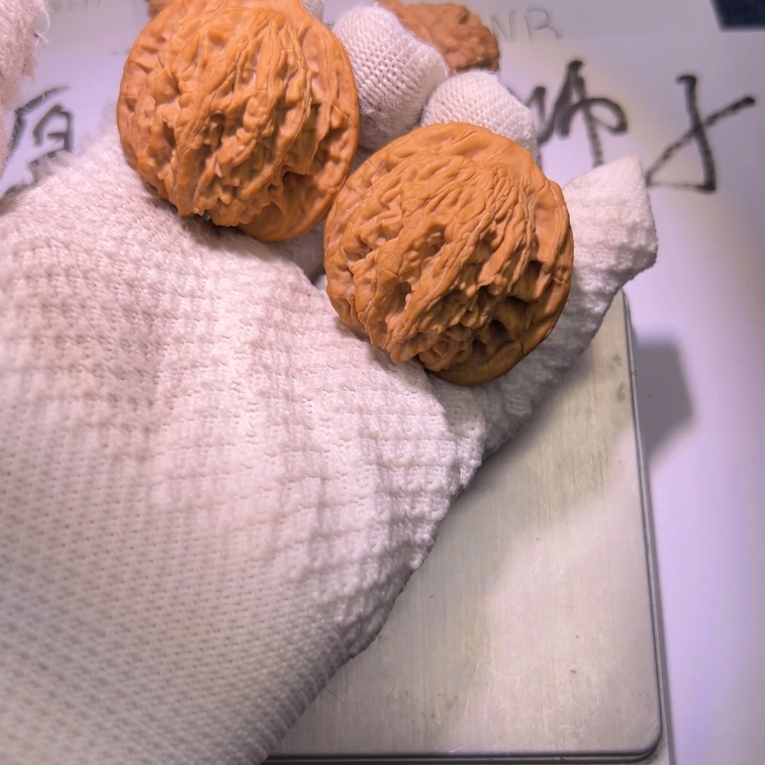 紫*全品虎头小毕业对