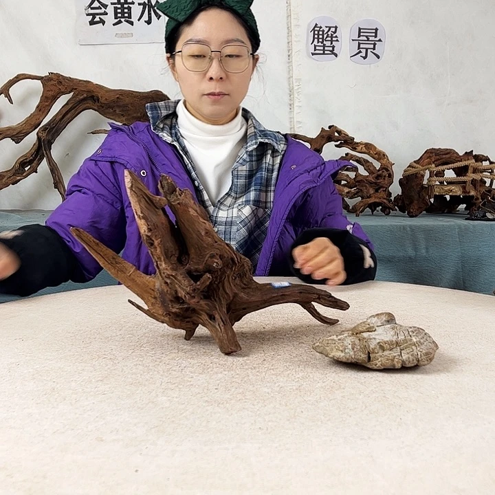 沉木造景爬宠造景