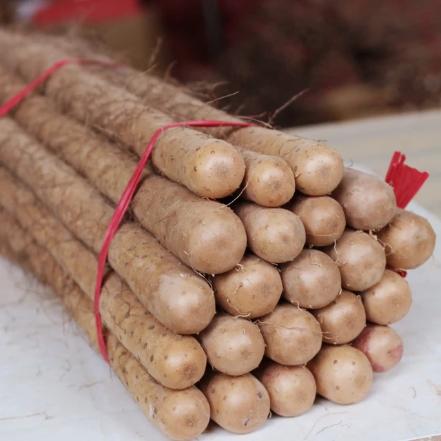 沙土铁棍山药怀山药河南焦作温县淮山药新鲜5斤正宗铁杆中药材