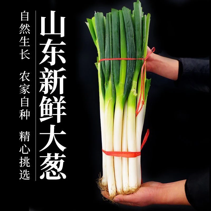 【拍5斤送5斤】正宗山东铁杆大葱净葱（带皮皮去葱叶三分之一）5斤