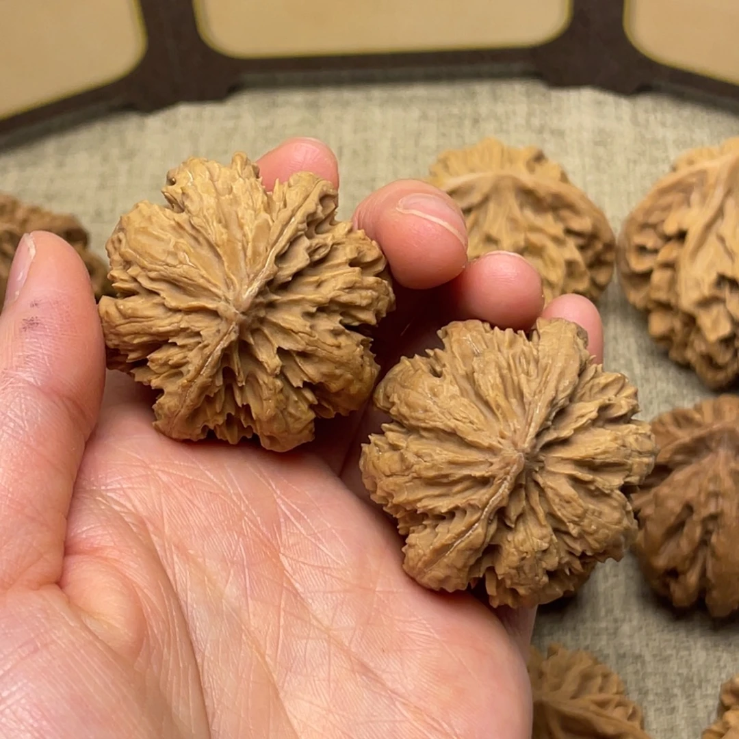 文玩核桃把件秦岭核桃8号