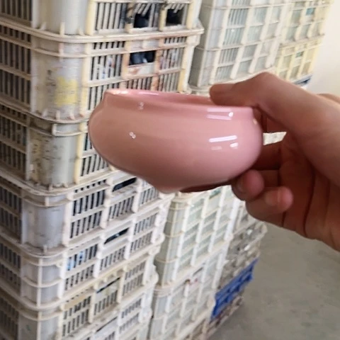 ····全是福利····
