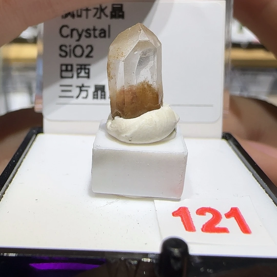 银S925枫叶宝宝吧