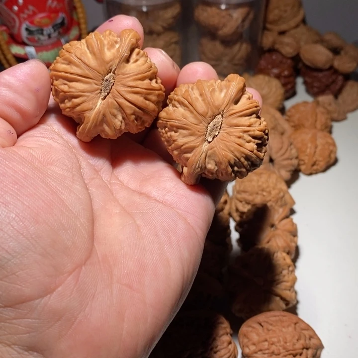 Z*文玩核桃白狮子核桃