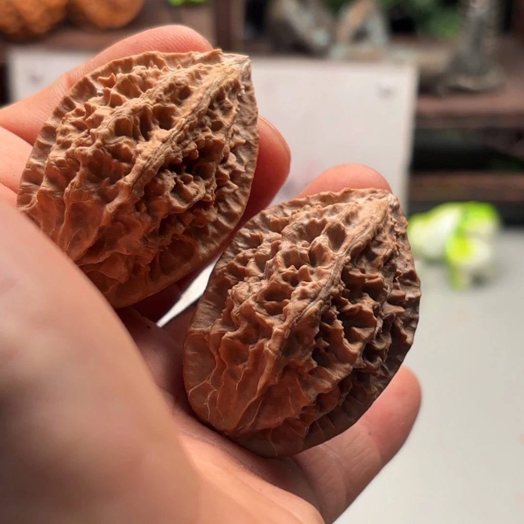 把件文玩核桃小蛙蛙195