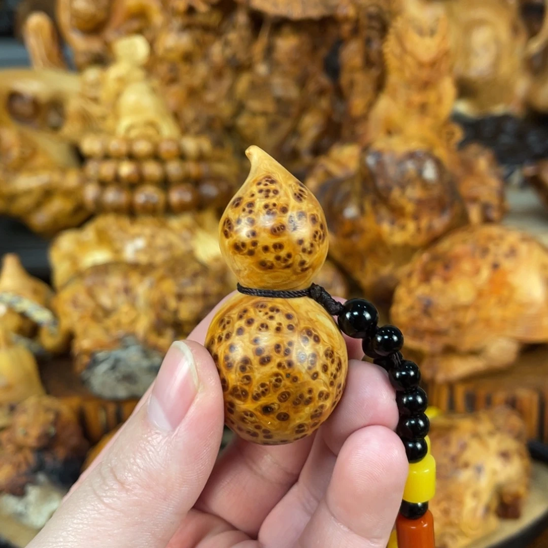 柏木（崖柏）太行崖柏