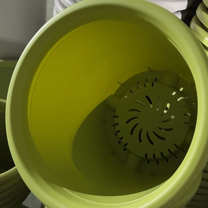 四季8号果绿无托5个特价微瑕