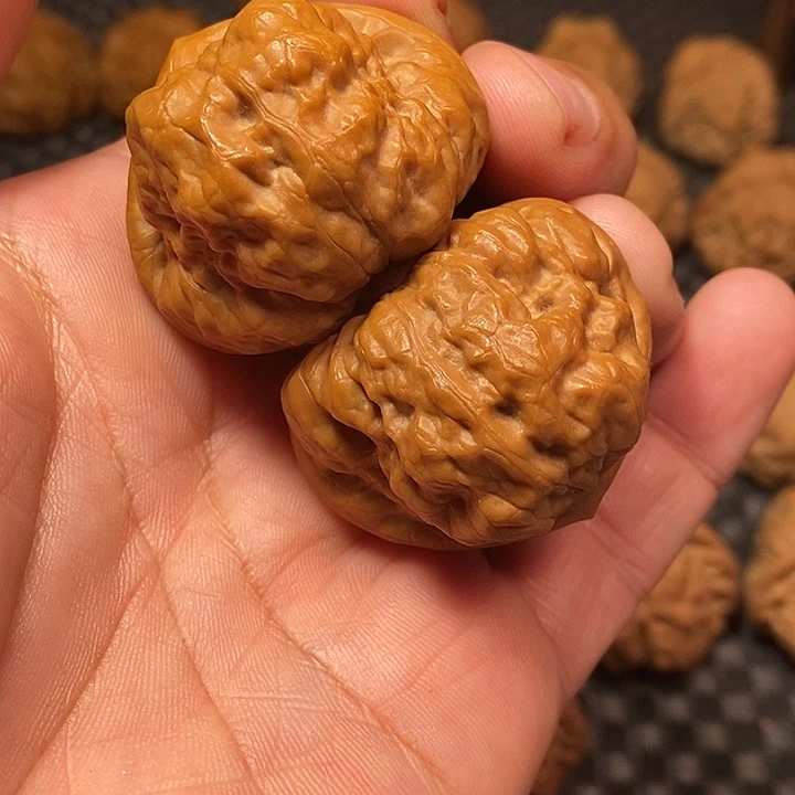 南***）文玩核桃吊坠40尺，古蟾