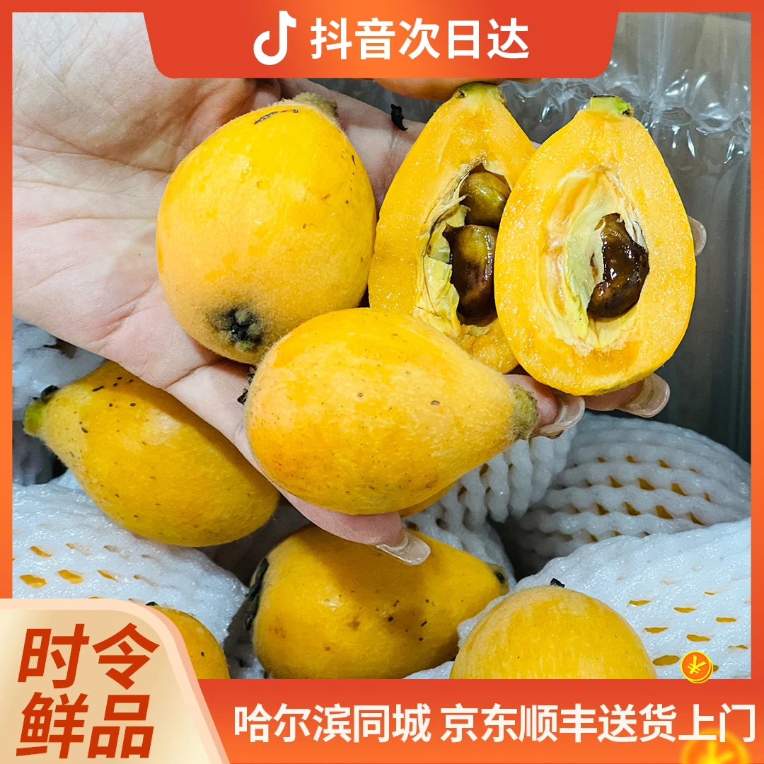 云南蒙自 树熟枇杷 1.5斤/箱