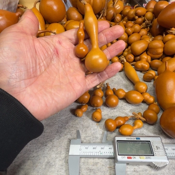 你***毛懂得两把葫芦，你懂得