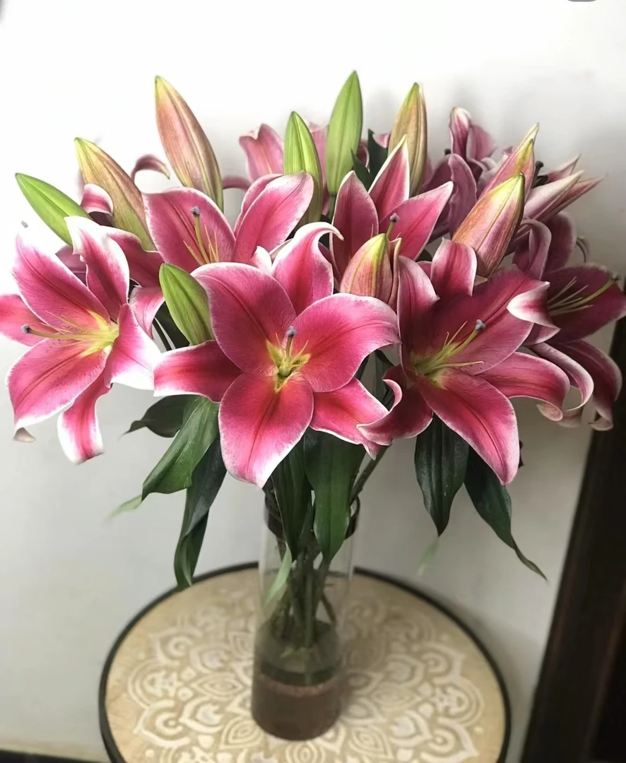 【鸿福】粉红色香水百合