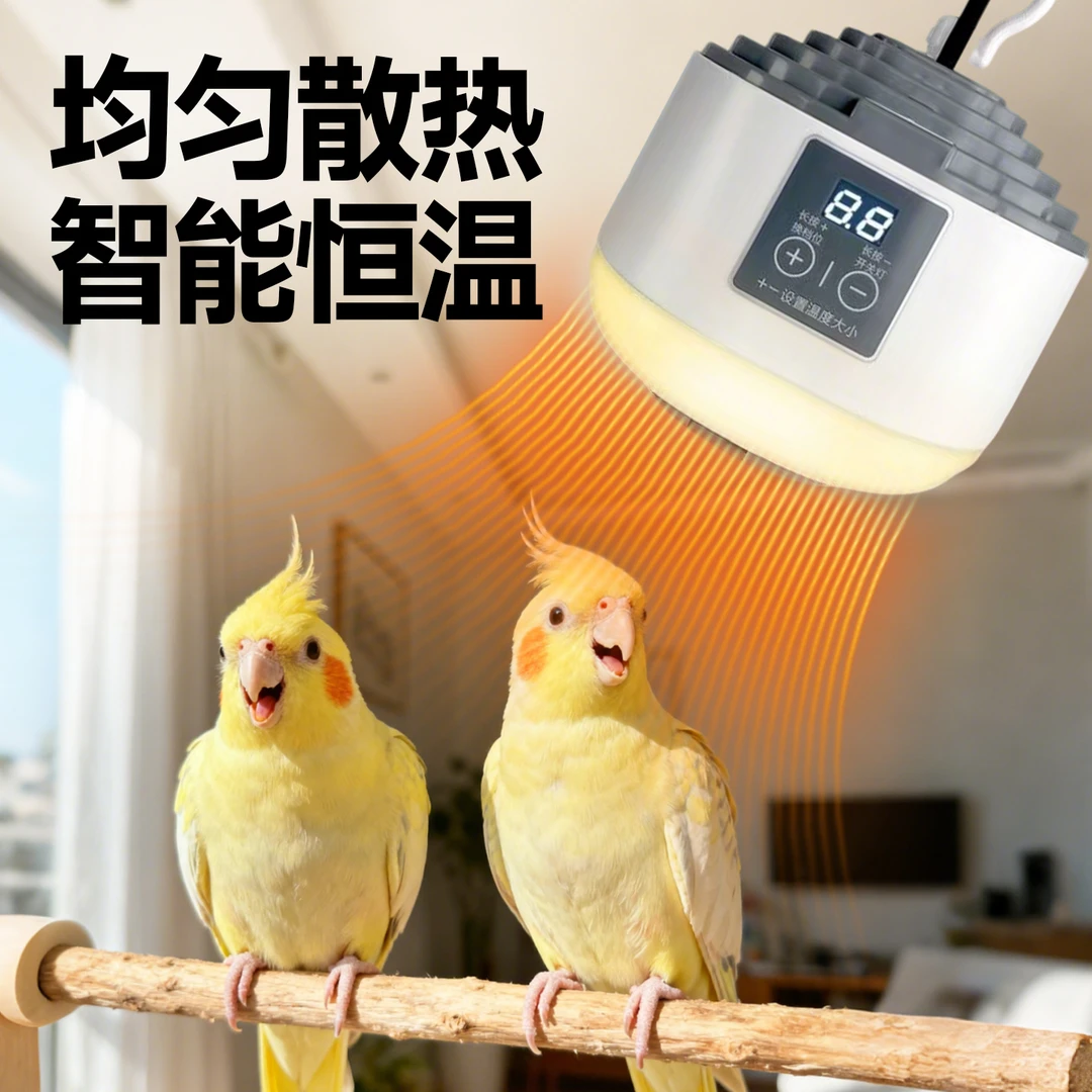 宠物暖风机鹦鹉恒温悬挂玄凤保温灯风暖加热器冬季温控取暖神器