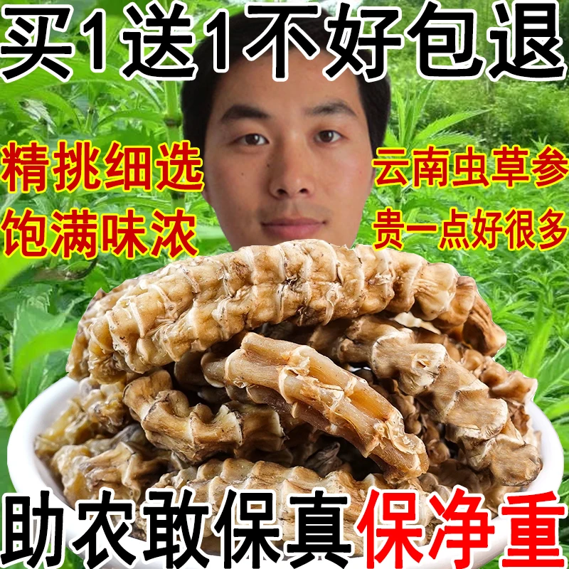 买1送1云南正宗虫草参地参保真滋补品干货煲汤泡酒料竹节参石蚕
