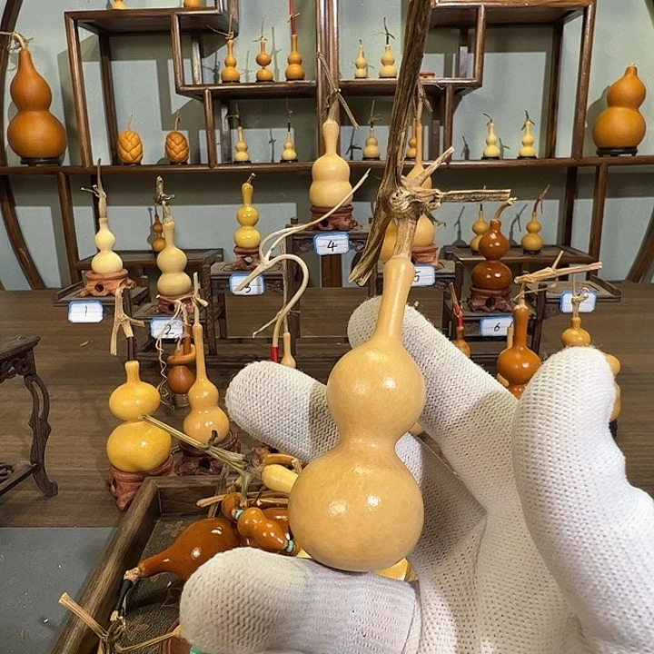 @****有机玻璃蚂蚁蚂蚁蚂蚁蚂蚁