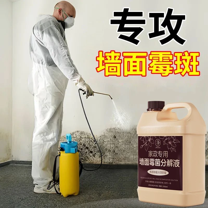 墙体墙面除霉剂去霉斑霉菌清洁剂家用墙壁发防霉除菌喷雾清除神器