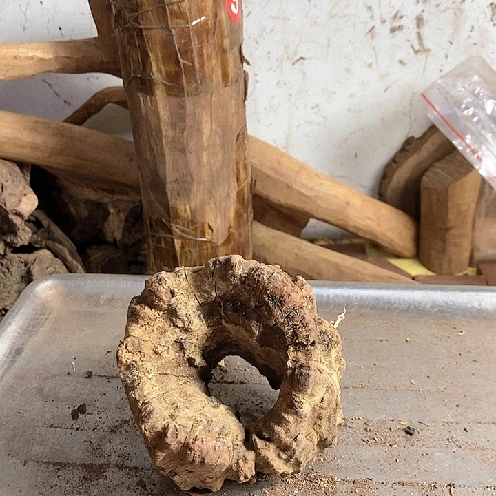 黄花梨/降香黄檀榆*