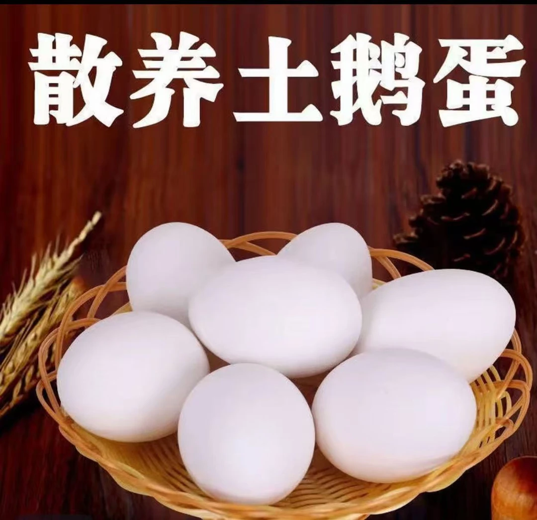 正宗农家散养鹅蛋【12-20枚】新鲜现捡现发包邮到家单重80-100g