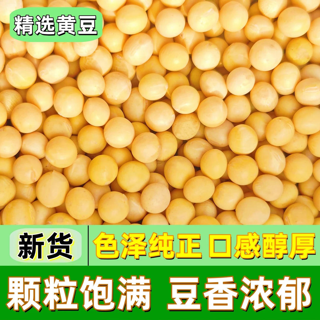 25年精选优质黄豆新货东北颗粒饱满农家打豆浆新黄豆多规格可选