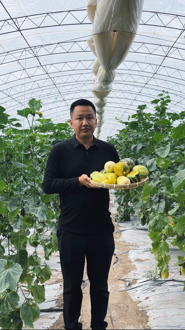 东北吉林乾安本地甜香瓜（顺丰包邮）