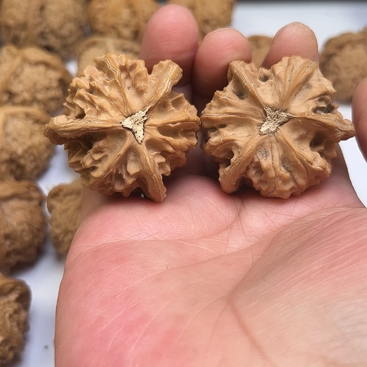 文玩核桃吊坠北**⭐我想要