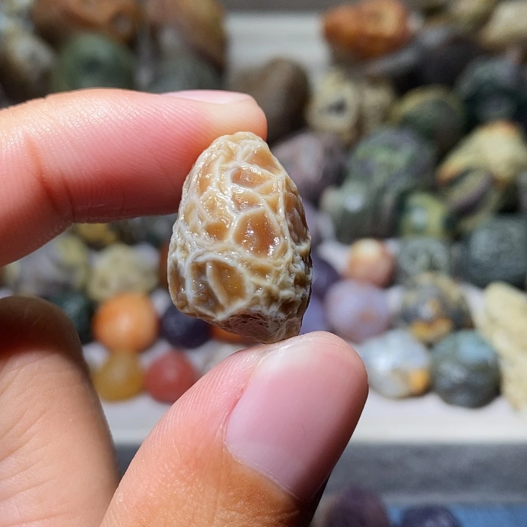 石头精品眼筋脉单科