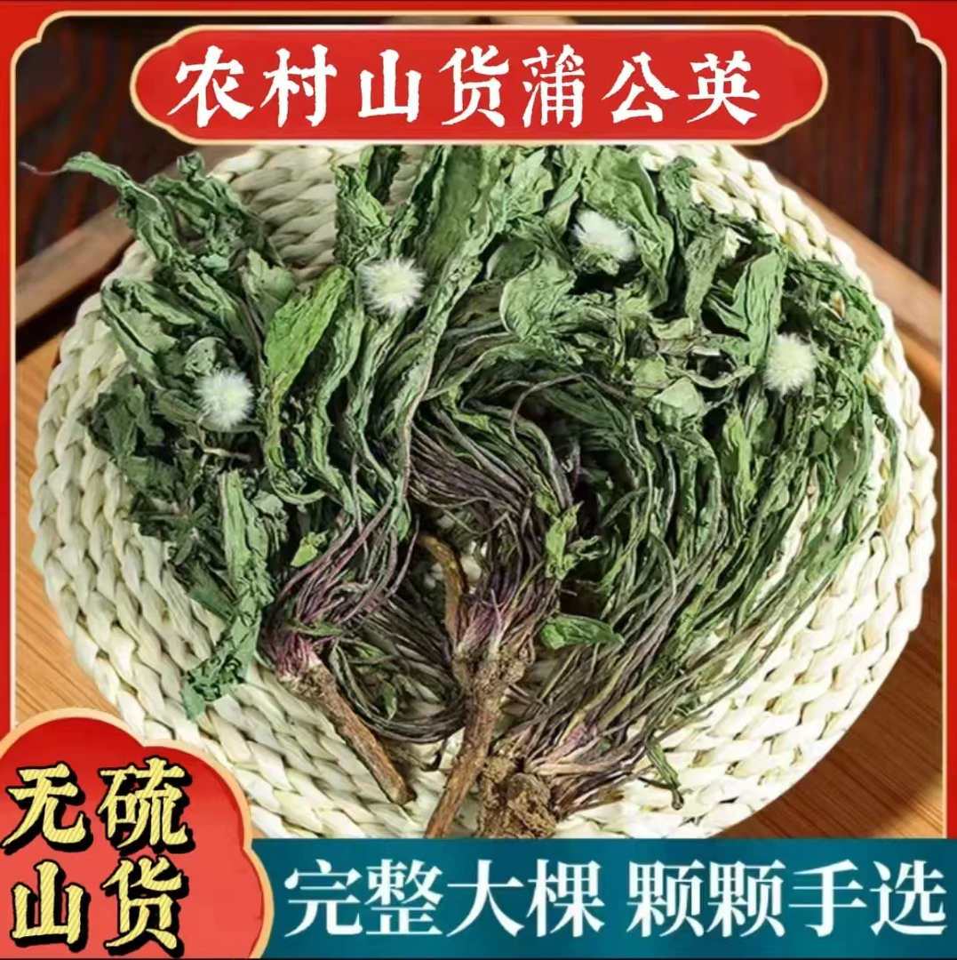 野生整株蒲公英婆婆丁自然晾晒当季新货不熏硫晾晒干净新货泡茶喝
