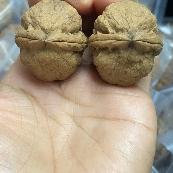 把件文玩核桃云南铁核桃基地52