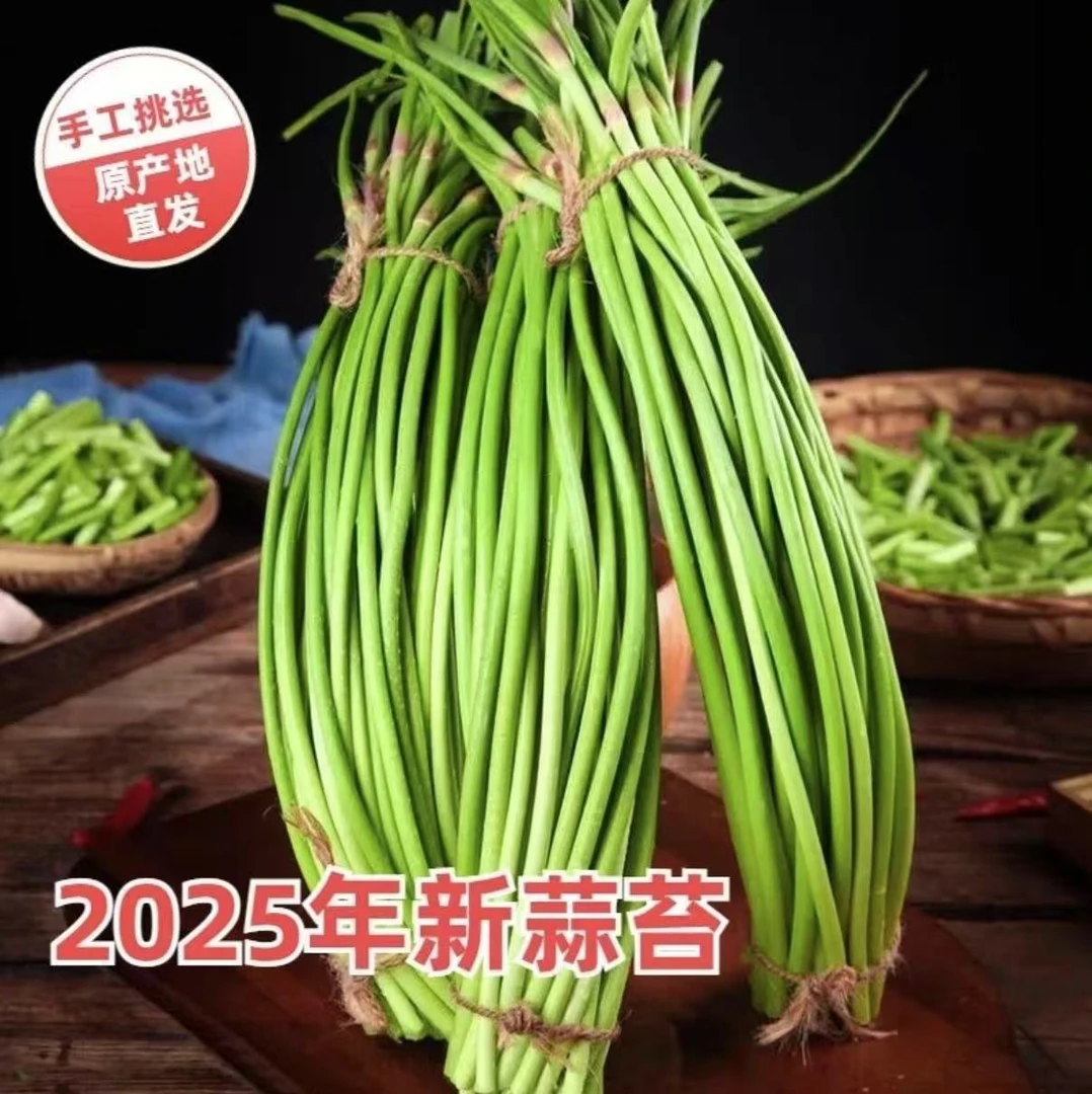 新鲜蒜苔红帽蒜薹地头价现摘现发绿色蔬菜