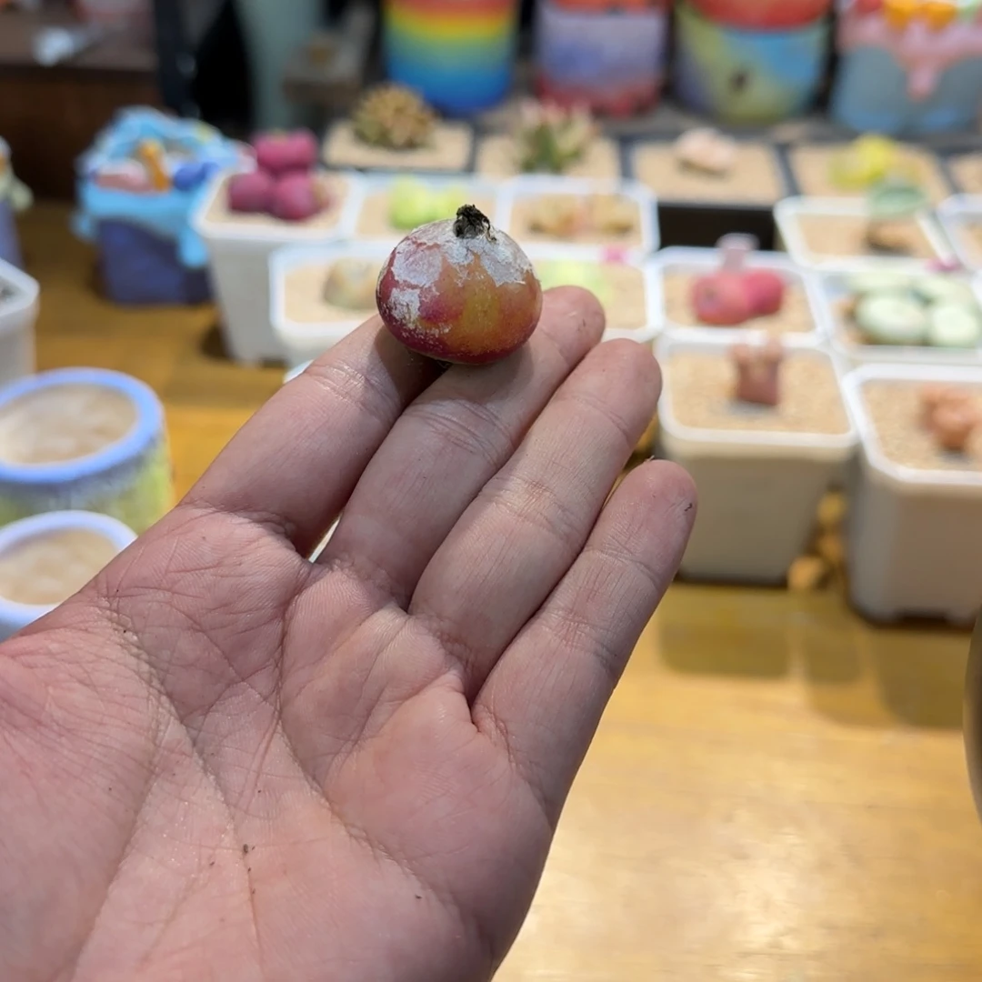 红陶呦**ζ我们的目标是成为一个优秀的人和