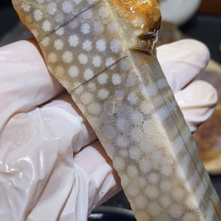 【闪购商品】未镶嵌珊瑚玉硅化玉