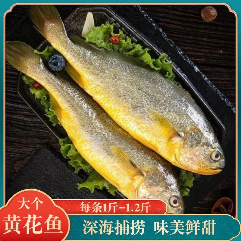 无冰大黄鱼新鲜冷冻特大黄花鱼1斤-1.2斤整条海产冷冻保鲜