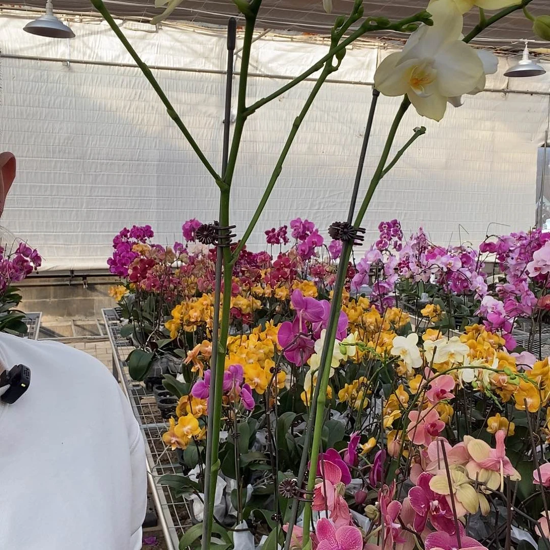 一***堂完全开放106143双剑011