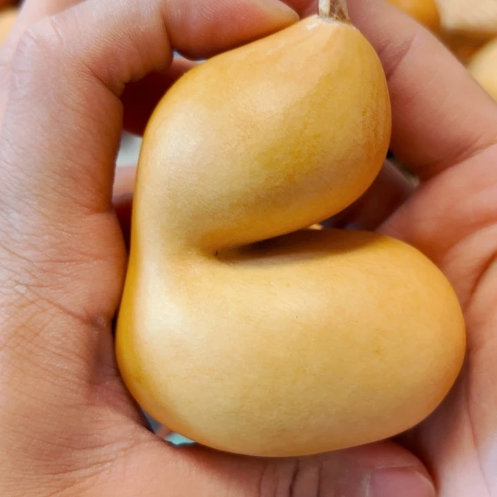 心***安888888888888888888