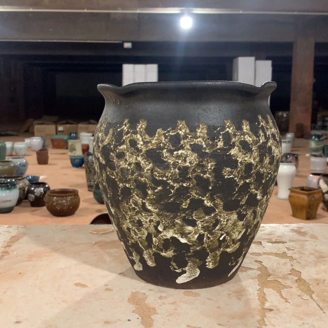 花盆啦啦啦啦啦啦啦啦啦