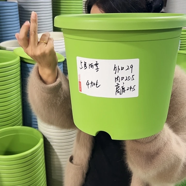 特价5号四季口29高24.5果绿无托5只